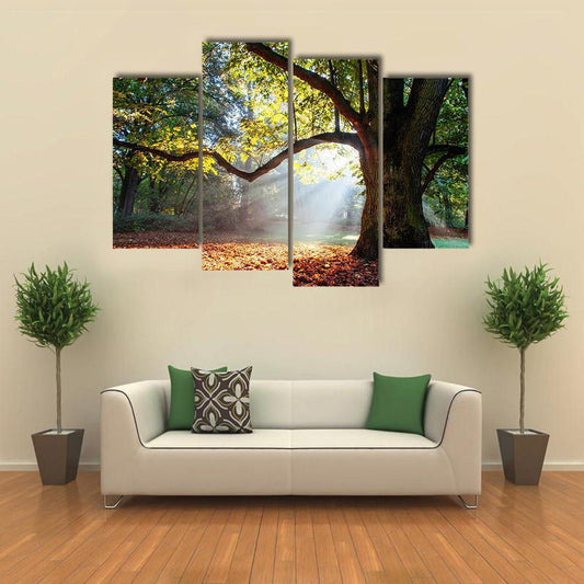 Mighty Oak Tree Canvas Wall Art-4 Pop-Gallery Wrap-50" x 32"-Tiaracle