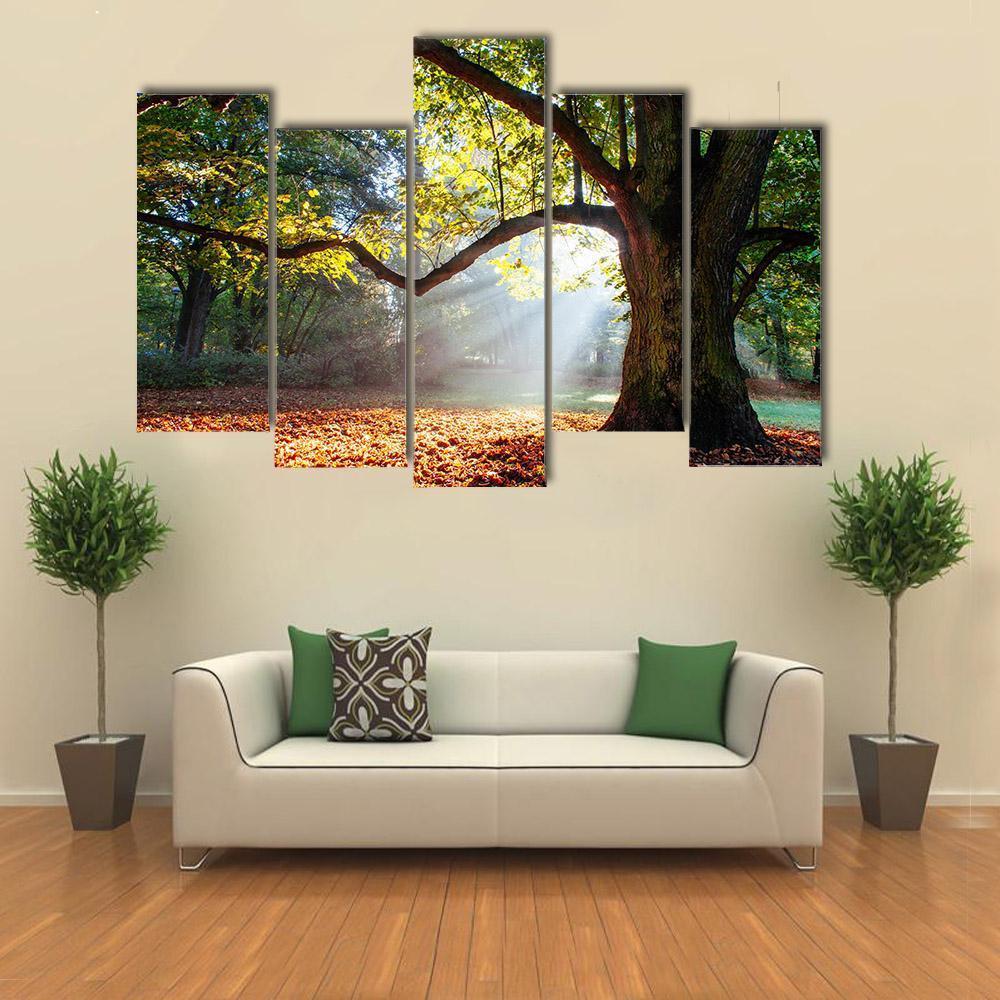 Mighty Oak Tree Canvas Wall Art-5 Pop-Gallery Wrap-47" x 32"-Tiaracle