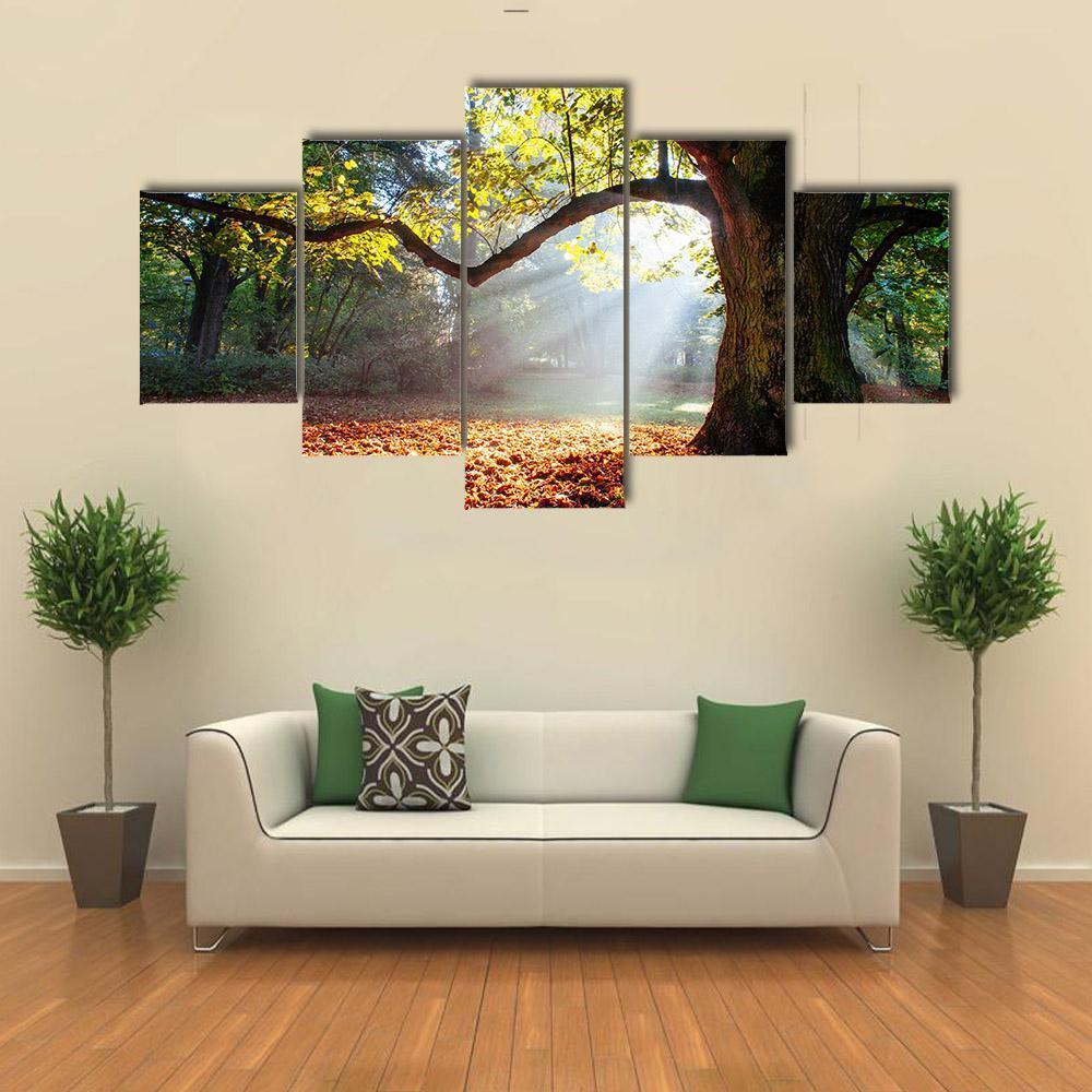 Mighty Oak Tree Canvas Wall Art-5 Star-Gallery Wrap-62" x 32"-Tiaracle