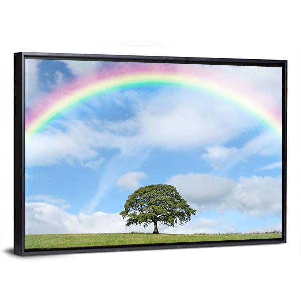 Oak Tree Under Rainbow Canvas Wall Art-3 Horizontal-Gallery Wrap-25" x 16"-Tiaracle