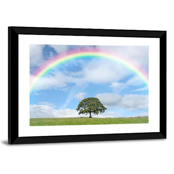 Oak Tree Under Rainbow Canvas Wall Art-3 Horizontal-Gallery Wrap-25" x 16"-Tiaracle