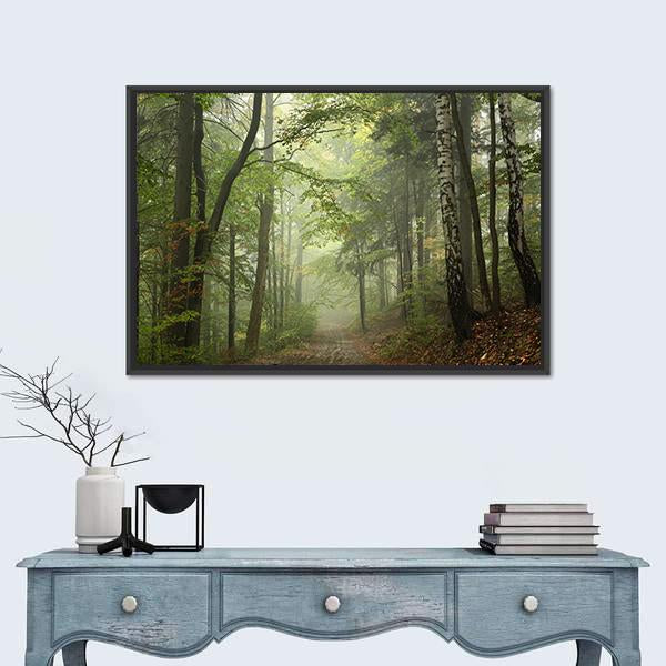 Path Through The Beech Forest In Foggy Weather Canvas Wall Art-1 Piece-Floating Frame-24" x 16"-Tiaracle