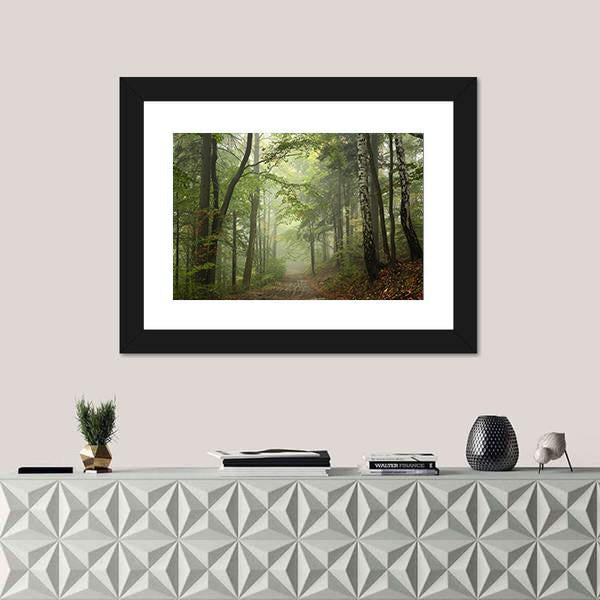 Path Through The Beech Forest In Foggy Weather Canvas Wall Art-1 Piece-Framed Print-20" x 16"-Tiaracle