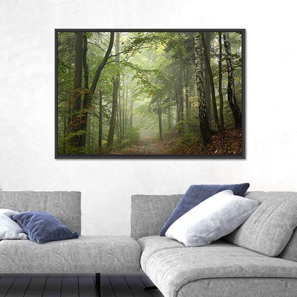 Path Through The Beech Forest In Foggy Weather Canvas Wall Art-3 Horizontal-Gallery Wrap-25" x 16"-Tiaracle