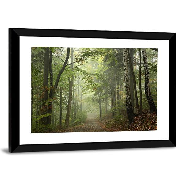 Path Through The Beech Forest In Foggy Weather Canvas Wall Art-3 Horizontal-Gallery Wrap-25" x 16"-Tiaracle