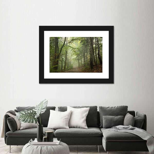 Path Through The Beech Forest In Foggy Weather Canvas Wall Art-3 Horizontal-Gallery Wrap-25" x 16"-Tiaracle