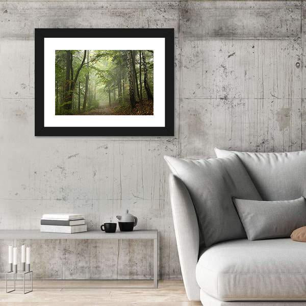 Path Through The Beech Forest In Foggy Weather Canvas Wall Art-3 Horizontal-Gallery Wrap-25" x 16"-Tiaracle