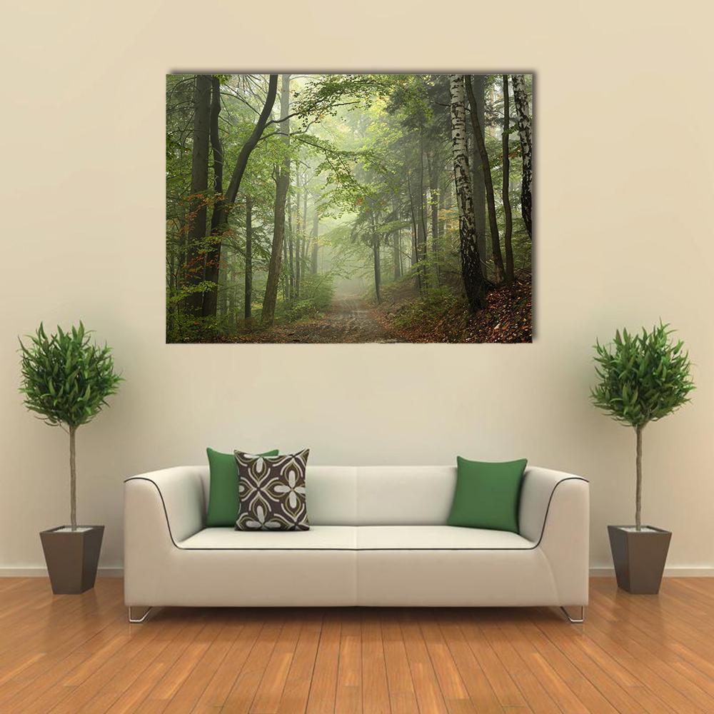 Path Through The Beech Forest In Foggy Weather Canvas Wall Art-1 Piece-Gallery Wrap-48" x 32"-Tiaracle