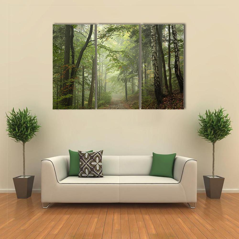 Path Through The Beech Forest In Foggy Weather Canvas Wall Art-3 Horizontal-Gallery Wrap-37" x 24"-Tiaracle