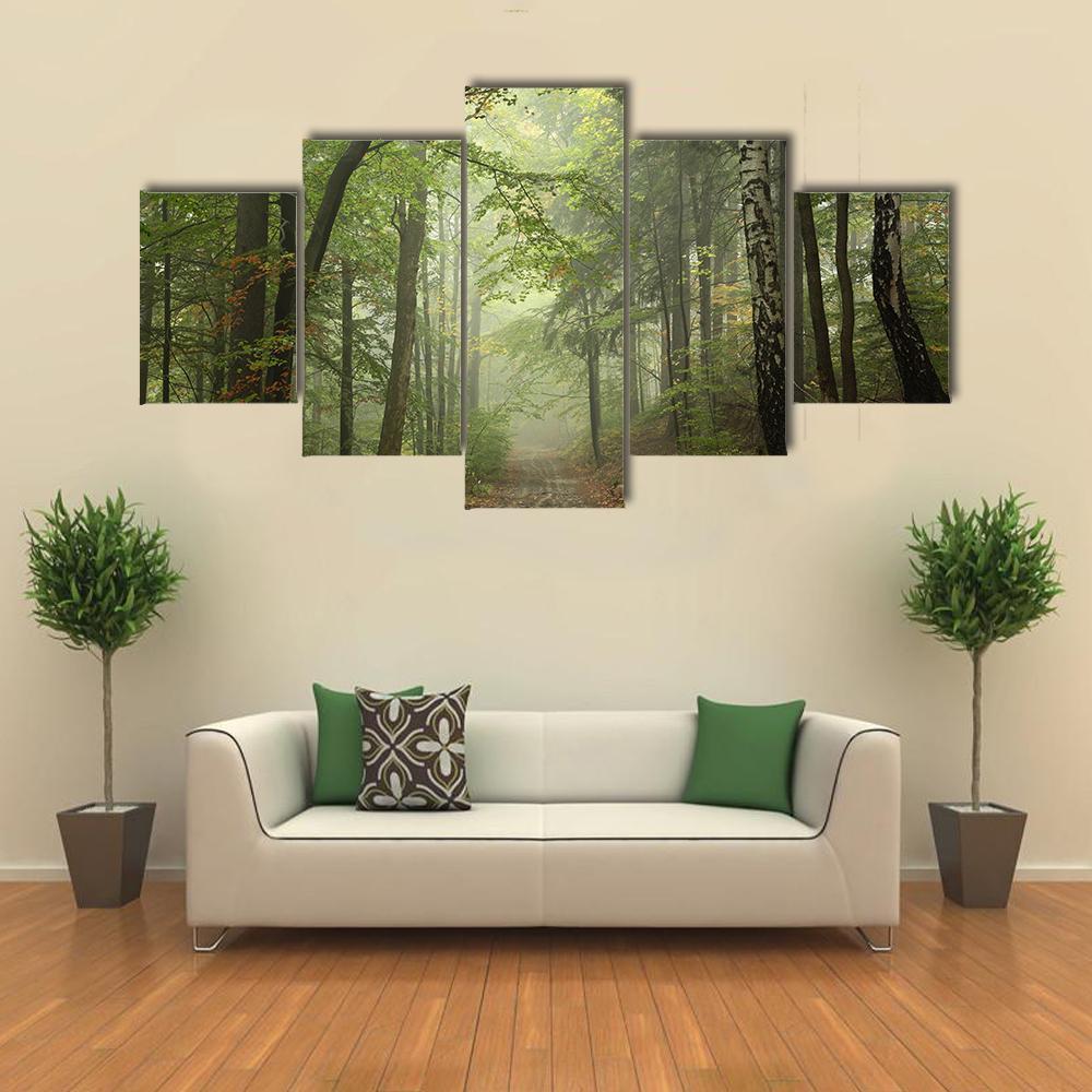 Path Through The Beech Forest In Foggy Weather Canvas Wall Art-5 Star-Gallery Wrap-62" x 32"-Tiaracle