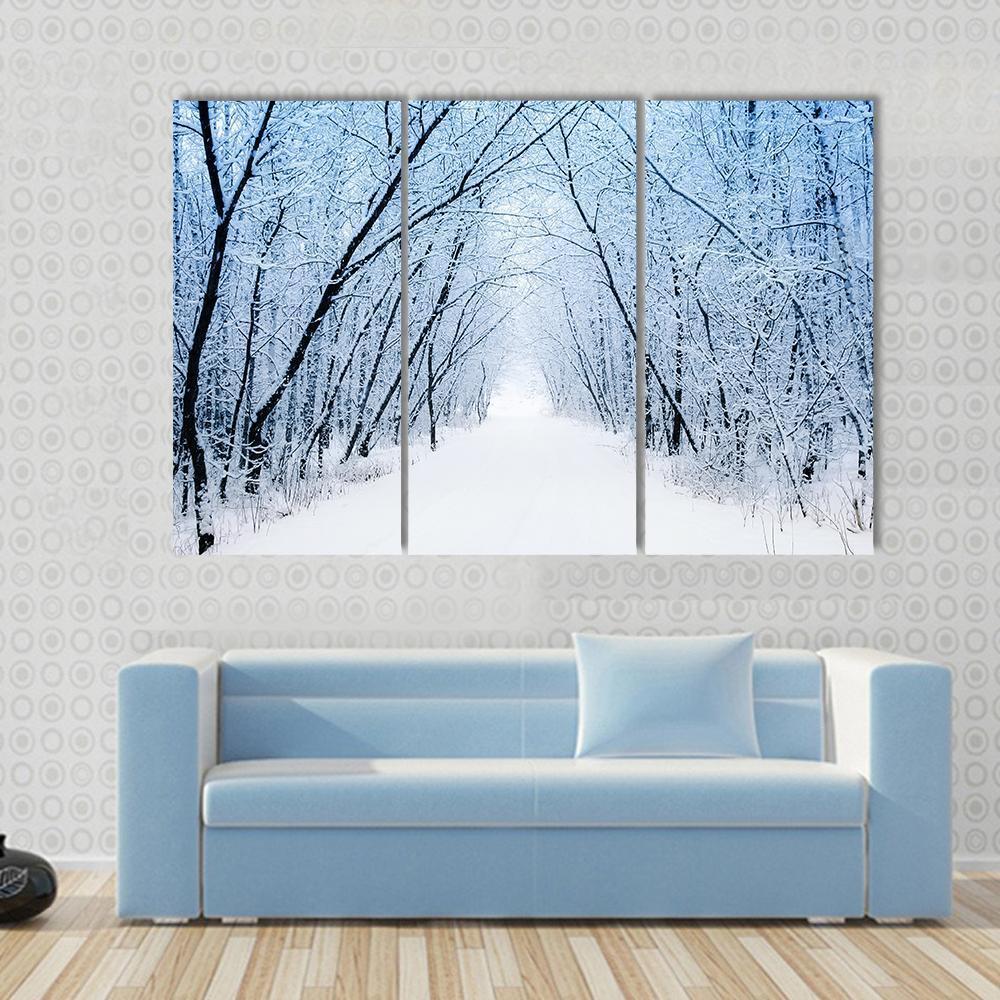 Pathway In Winter Canvas Wall Art-3 Horizontal-Gallery Wrap-37" x 24"-Tiaracle