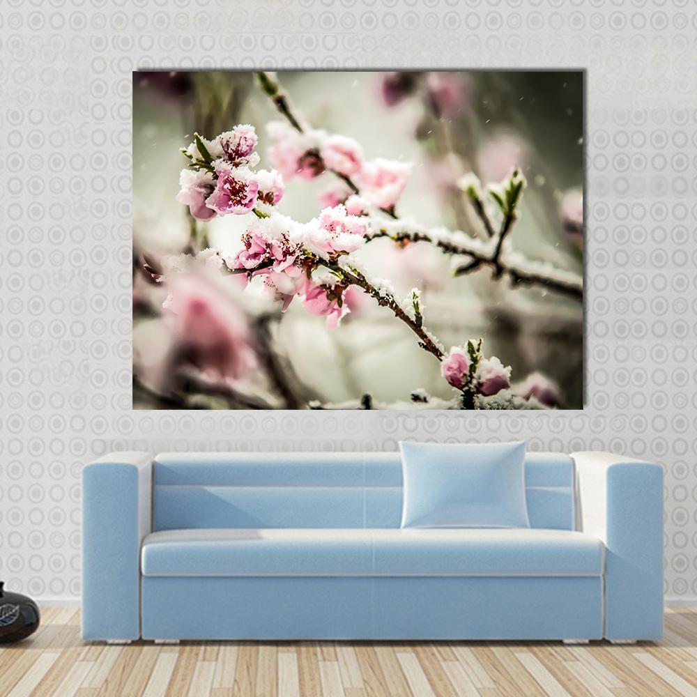 Peach Blossom Covered In Snow Canvas Wall Art-1 Piece-Gallery Wrap-48" x 32"-Tiaracle