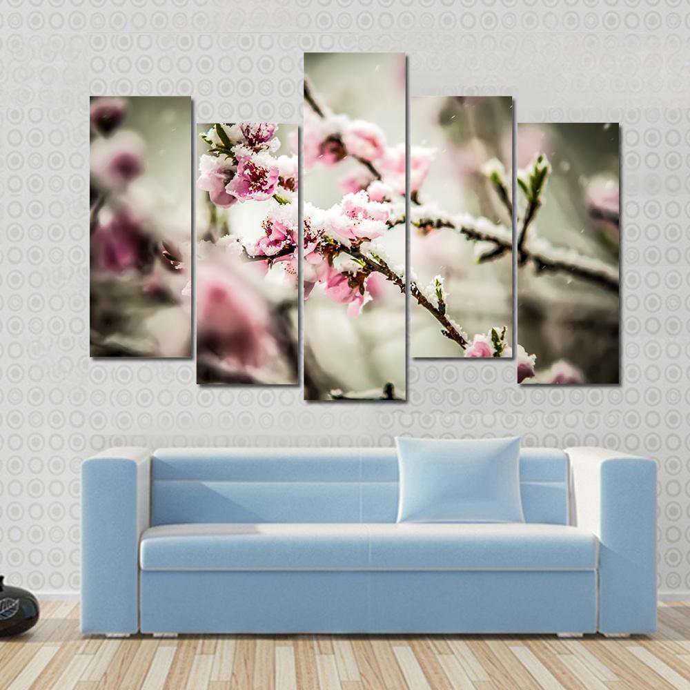 Peach Blossom Covered In Snow Canvas Wall Art-5 Pop-Gallery Wrap-47" x 32"-Tiaracle