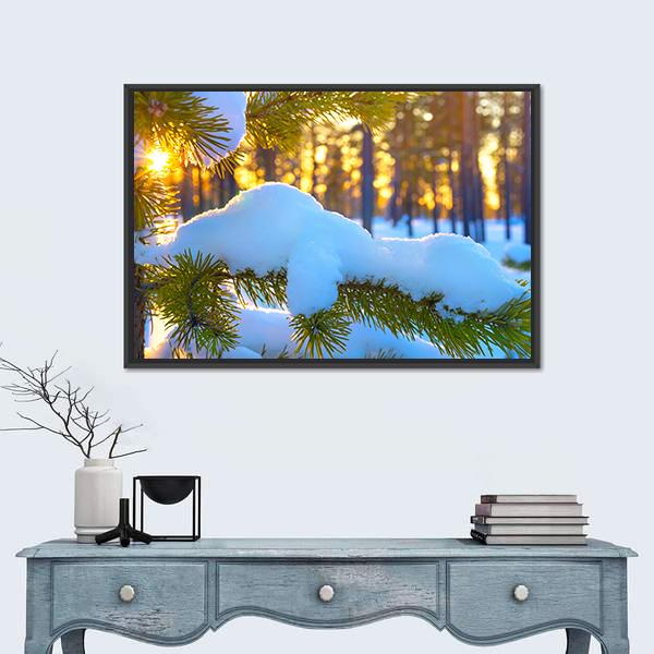 Pine Branch In Snow Winter Sunset In The Forest Canvas Wall Art-1 Piece-Floating Frame-24" x 16"-Tiaracle