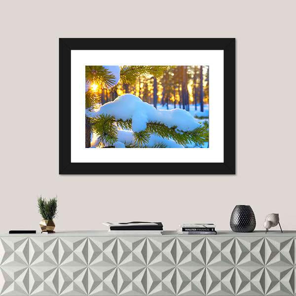 Pine Branch In Snow Winter Sunset In The Forest Canvas Wall Art-1 Piece-Framed Print-20" x 16"-Tiaracle