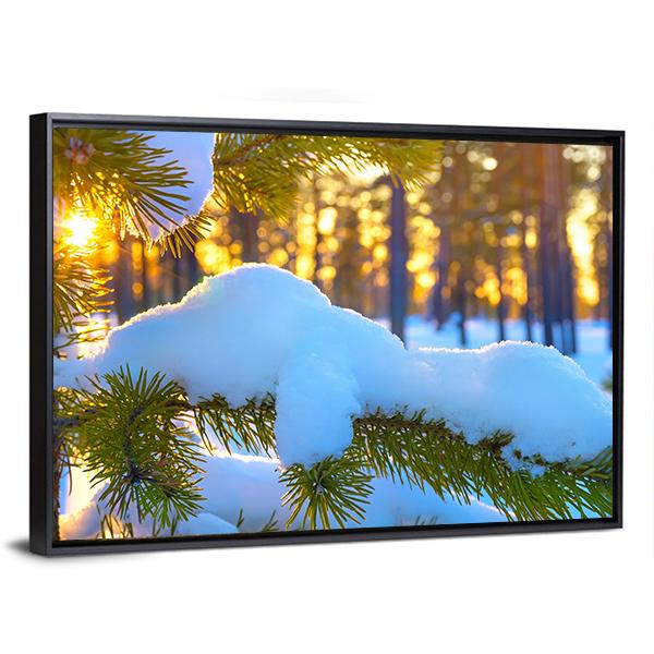 Pine Branch In Snow Winter Sunset In The Forest Canvas Wall Art-3 Horizontal-Gallery Wrap-25" x 16"-Tiaracle