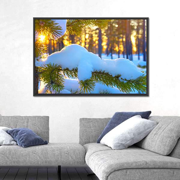 Pine Branch In Snow Winter Sunset In The Forest Canvas Wall Art-3 Horizontal-Gallery Wrap-25" x 16"-Tiaracle