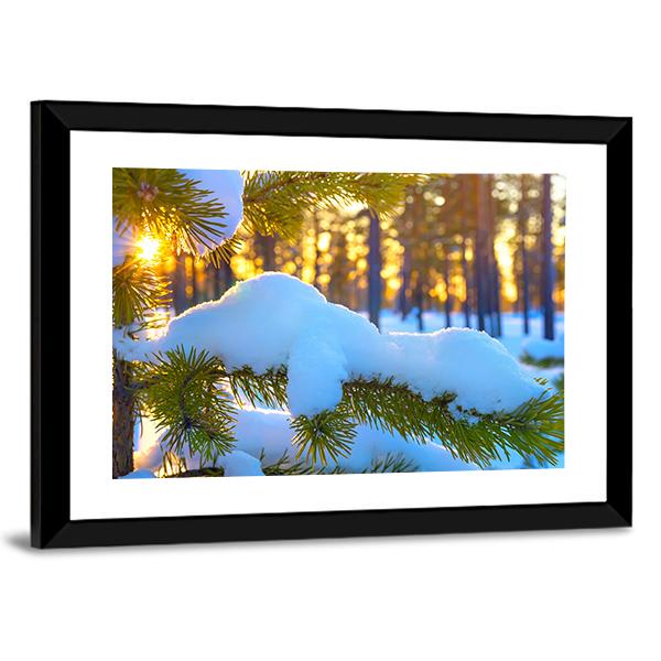 Pine Branch In Snow Winter Sunset In The Forest Canvas Wall Art-3 Horizontal-Gallery Wrap-25" x 16"-Tiaracle