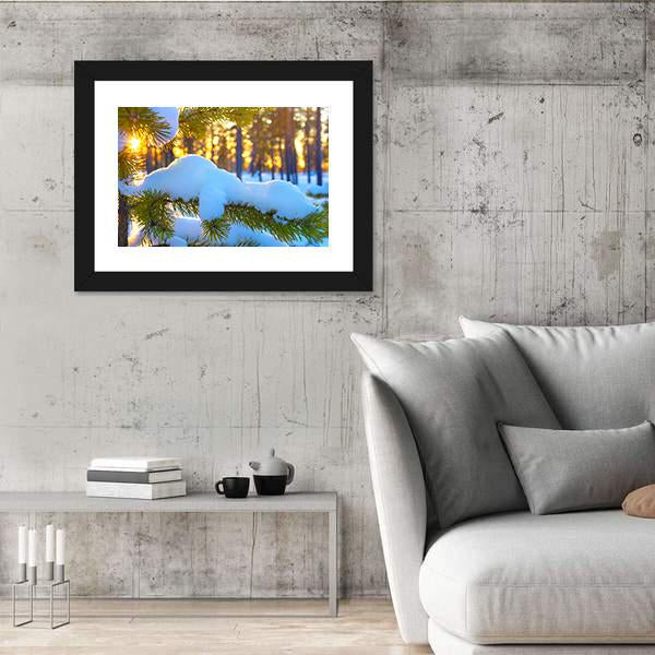 Pine Branch In Snow Winter Sunset In The Forest Canvas Wall Art-3 Horizontal-Gallery Wrap-25" x 16"-Tiaracle