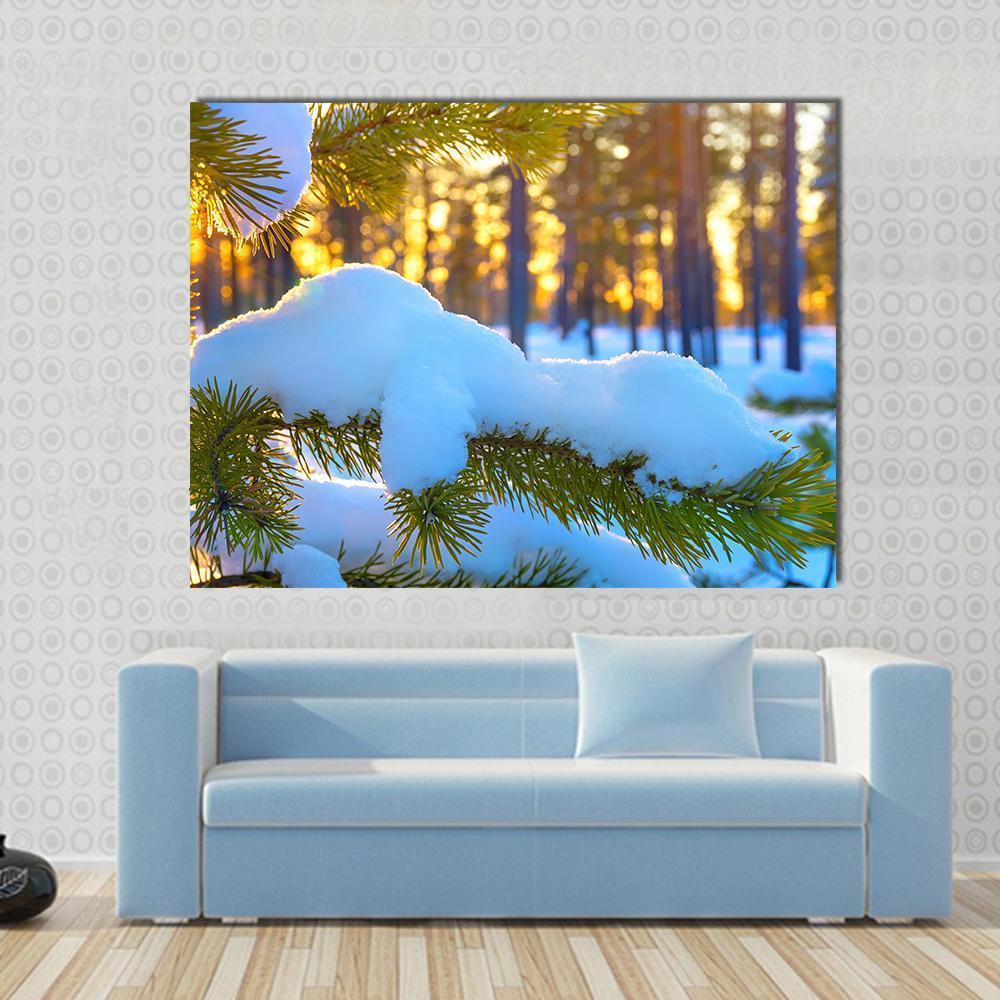 Pine Branch In Snow Winter Sunset In The Forest Canvas Wall Art-1 Piece-Gallery Wrap-48" x 32"-Tiaracle