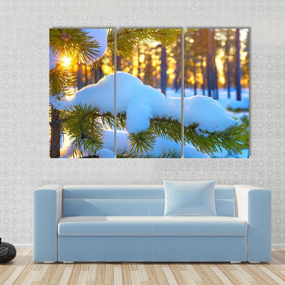 Pine Branch In Snow Winter Sunset In The Forest Canvas Wall Art-3 Horizontal-Gallery Wrap-37" x 24"-Tiaracle