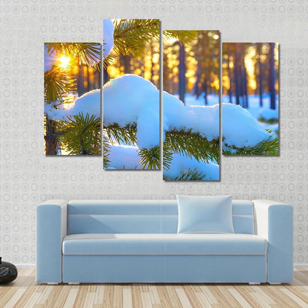 Pine Branch In Snow Winter Sunset In The Forest Canvas Wall Art-4 Pop-Gallery Wrap-50" x 32"-Tiaracle