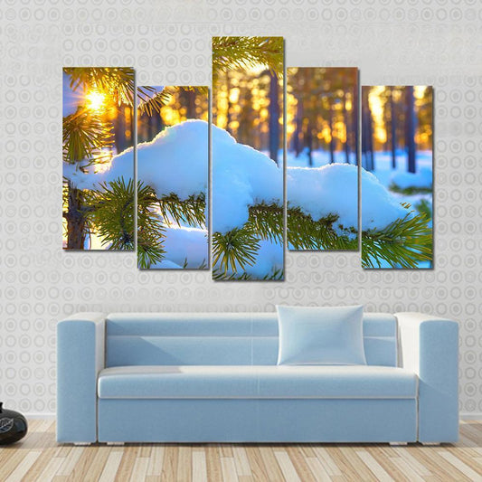 Pine Branch In Snow Winter Sunset In The Forest Canvas Wall Art-5 Pop-Gallery Wrap-47" x 32"-Tiaracle