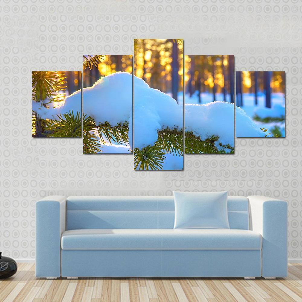 Pine Branch In Snow Winter Sunset In The Forest Canvas Wall Art-5 Star-Gallery Wrap-62" x 32"-Tiaracle