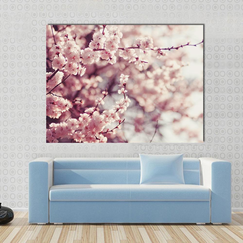 Pink Cherry Blossoms Flowers Canvas Wall Art-1 Piece-Gallery Wrap-48" x 32"-Tiaracle