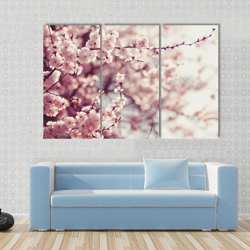 Pink Cherry Blossoms Flowers Canvas Wall Art-3 Horizontal-Gallery Wrap-37" x 24"-Tiaracle