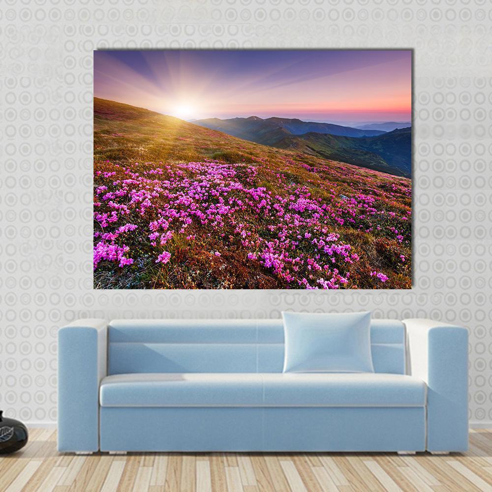 Pink Flowers On Mountain Canvas Wall Art-1 Piece-Gallery Wrap-48" x 32"-Tiaracle