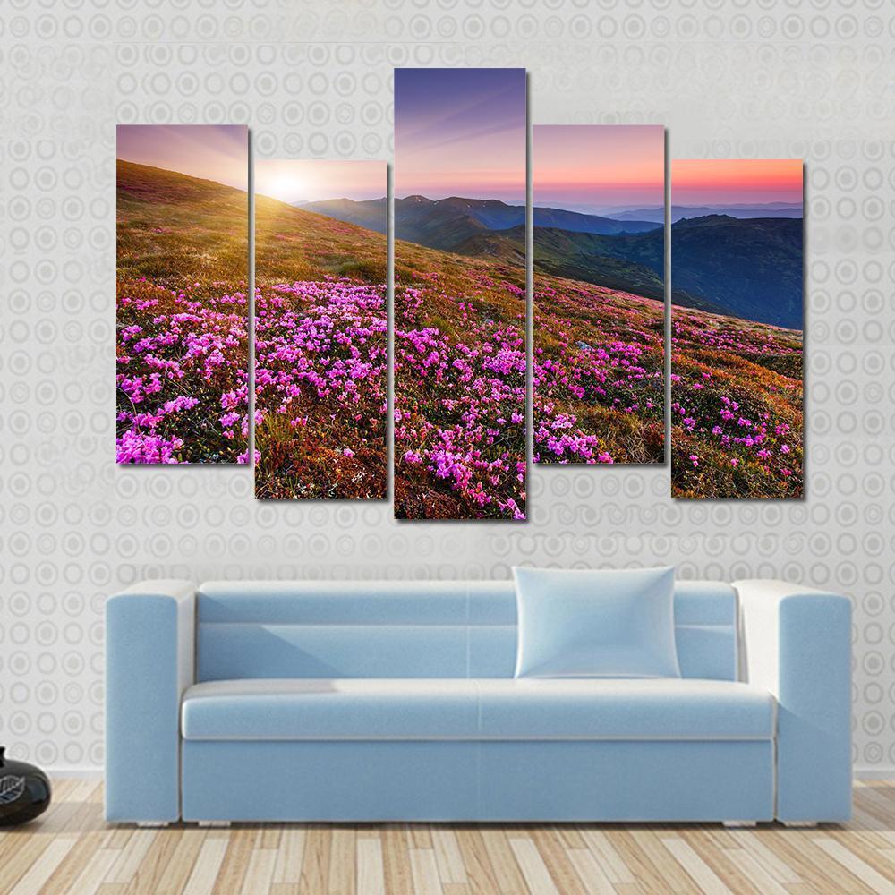 Pink Flowers On Mountain Canvas Wall Art-5 Pop-Gallery Wrap-47" x 32"-Tiaracle