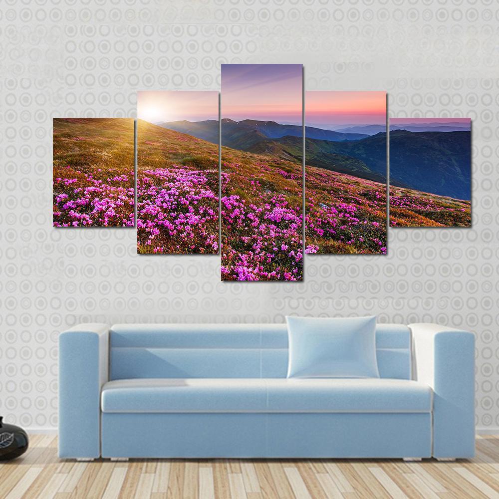 Pink Flowers On Mountain Canvas Wall Art-5 Star-Gallery Wrap-62" x 32"-Tiaracle