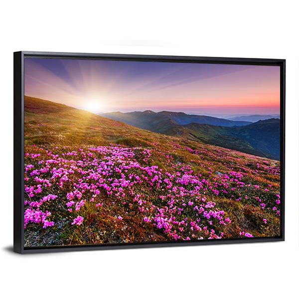 Pink Flowers On Mountain Canvas Wall Art-3 Horizontal-Gallery Wrap-25" x 16"-Tiaracle