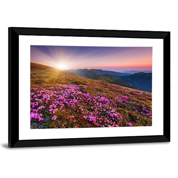 Pink Flowers On Mountain Canvas Wall Art-3 Horizontal-Gallery Wrap-25" x 16"-Tiaracle