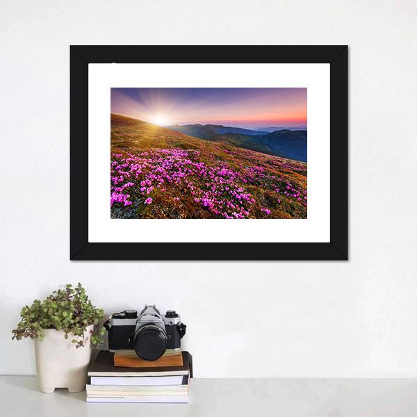 Pink Flowers On Mountain Canvas Wall Art-1 Piece-Framed Print-20" x 16"-Tiaracle