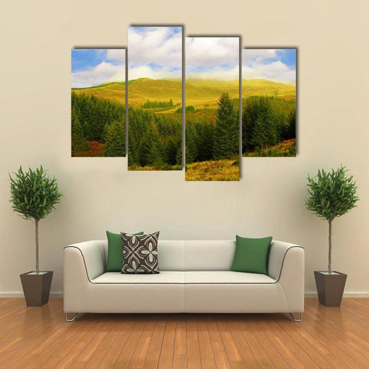 Queen Elizabeth Forest Park Canvas Wall Art-4 Pop-Gallery Wrap-50" x 32"-Tiaracle