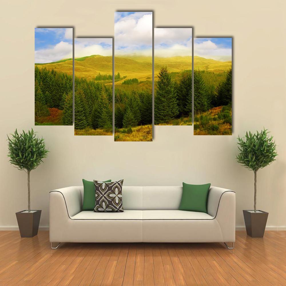 Queen Elizabeth Forest Park Canvas Wall Art-5 Pop-Gallery Wrap-47" x 32"-Tiaracle