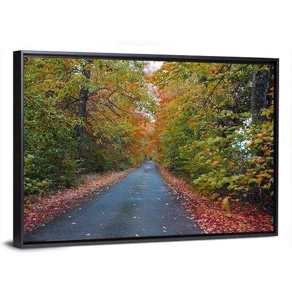 Quiet Leafy Country Lane Canvas Wall Art-3 Horizontal-Gallery Wrap-25" x 16"-Tiaracle
