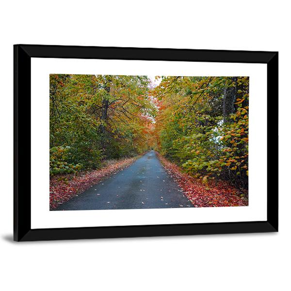 Quiet Leafy Country Lane Canvas Wall Art-3 Horizontal-Gallery Wrap-25" x 16"-Tiaracle
