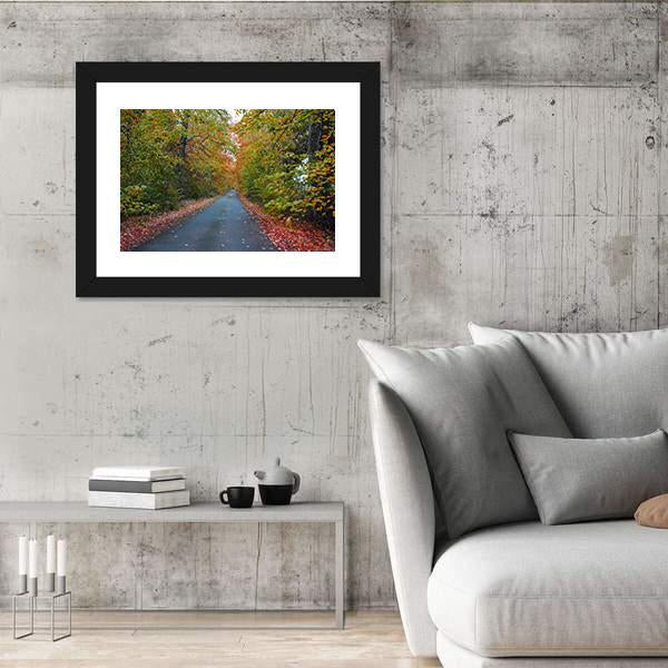 Quiet Leafy Country Lane Canvas Wall Art-3 Horizontal-Gallery Wrap-25" x 16"-Tiaracle
