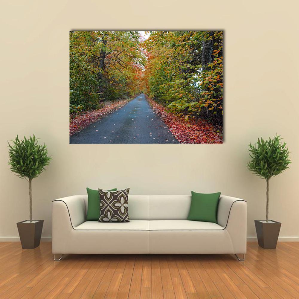 Quiet Leafy Country Lane Canvas Wall Art-1 Piece-Gallery Wrap-48" x 32"-Tiaracle