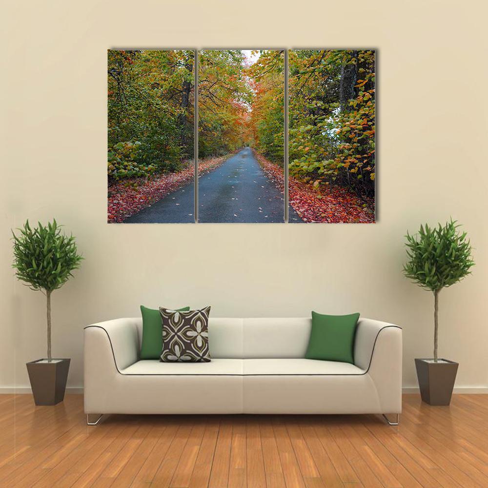 Quiet Leafy Country Lane Canvas Wall Art-3 Horizontal-Gallery Wrap-37" x 24"-Tiaracle
