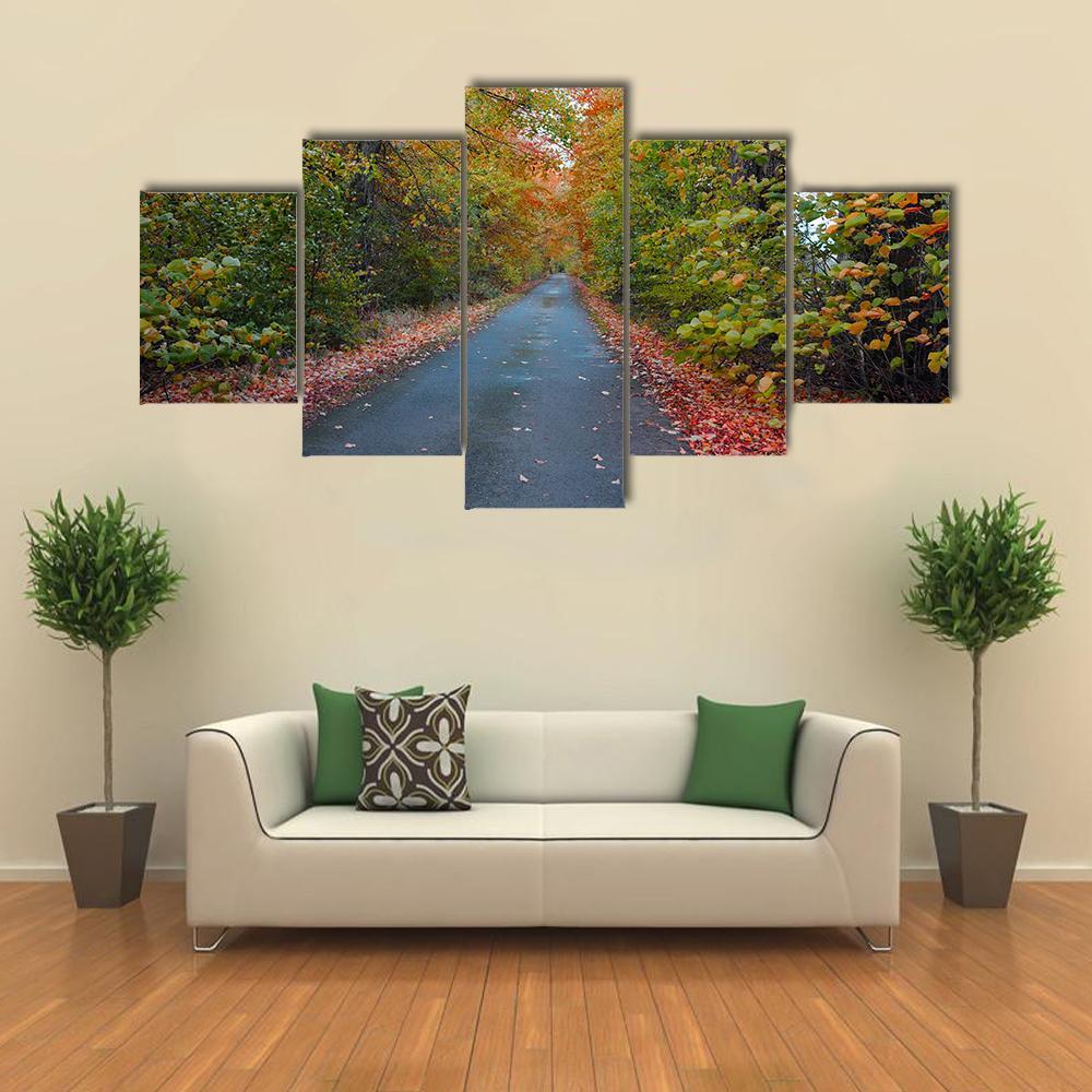Quiet Leafy Country Lane Canvas Wall Art-5 Star-Gallery Wrap-62" x 32"-Tiaracle