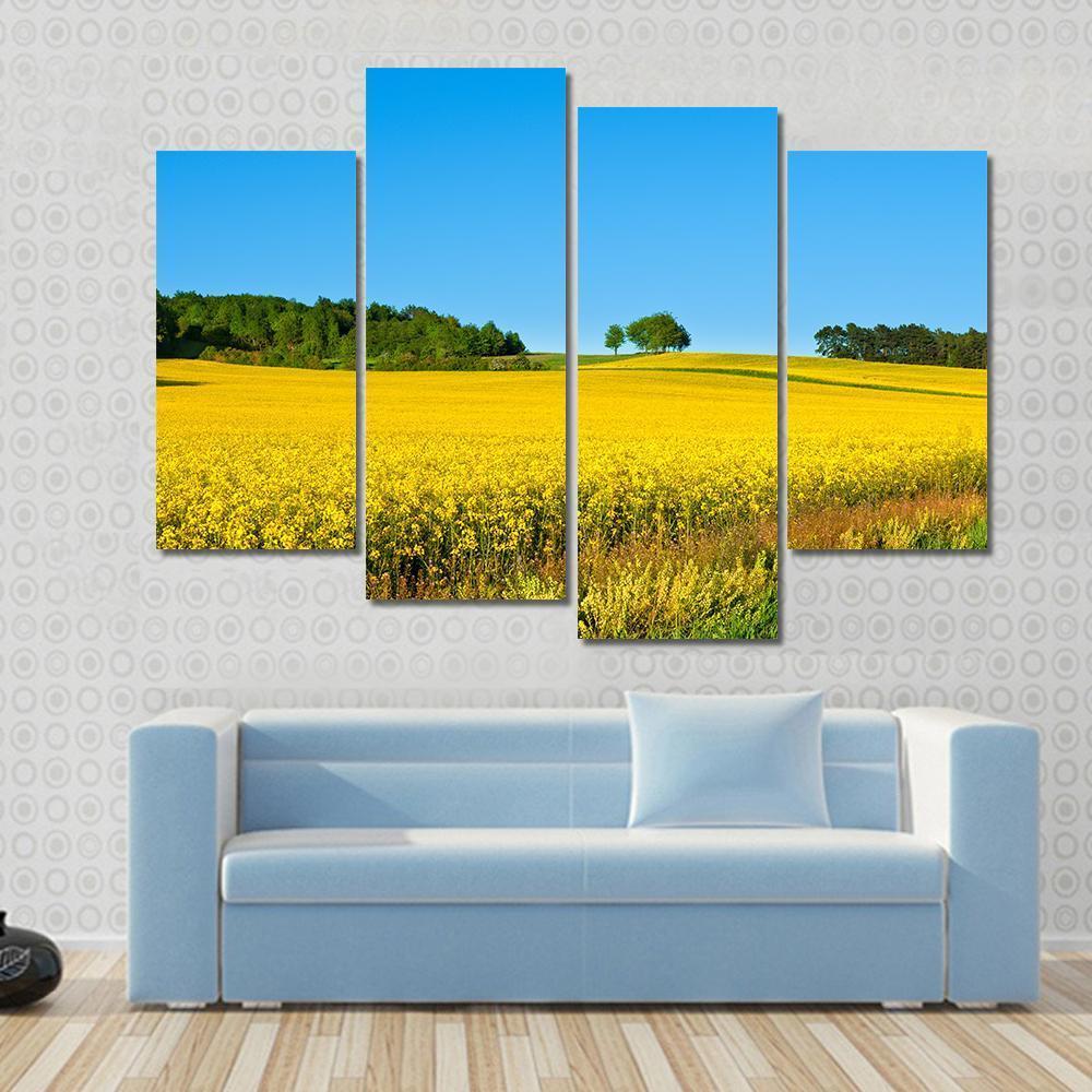 Rapeseed Field with Forest Canvas Wall Art-4 Pop-Gallery Wrap-50" x 32"-Tiaracle