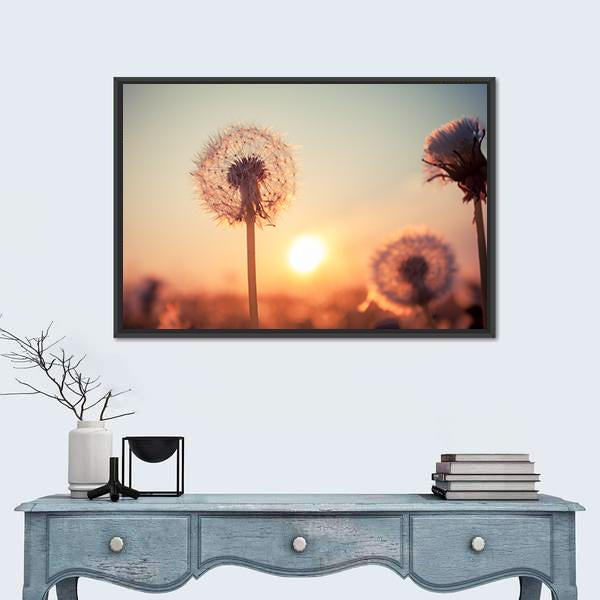 Real Field And Dandelion At Summer Sunset Canvas Wall Art-1 Piece-Floating Frame-24" x 16"-Tiaracle