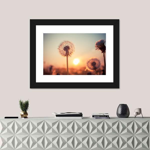 Real Field And Dandelion At Summer Sunset Canvas Wall Art-1 Piece-Framed Print-20" x 16"-Tiaracle