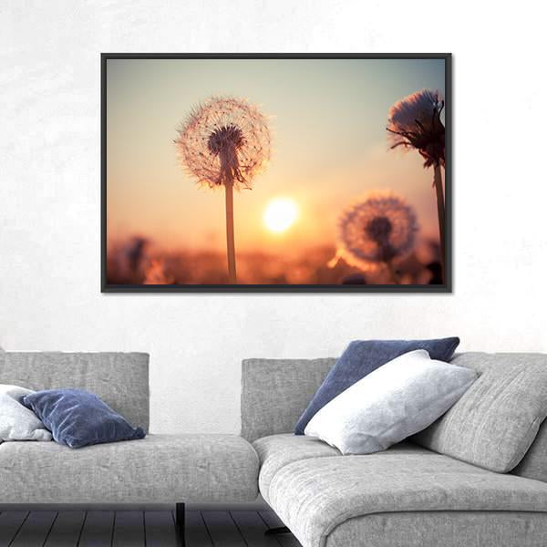 Real Field And Dandelion At Summer Sunset Canvas Wall Art-3 Horizontal-Gallery Wrap-25" x 16"-Tiaracle