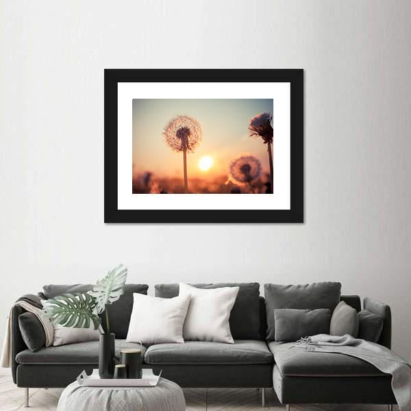 Real Field And Dandelion At Summer Sunset Canvas Wall Art-3 Horizontal-Gallery Wrap-25" x 16"-Tiaracle