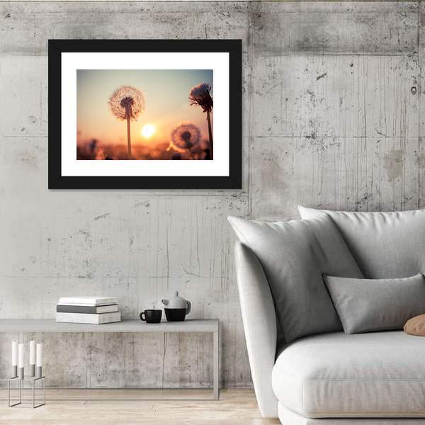 Real Field And Dandelion At Summer Sunset Canvas Wall Art-3 Horizontal-Gallery Wrap-25" x 16"-Tiaracle